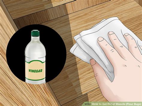 How to Get Rid of Weevils (Flour Bugs): 10 Steps (with Pictures)