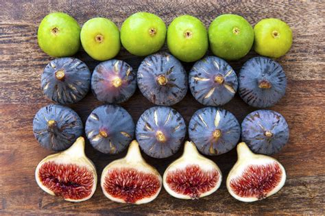 varieties-of-ripe-figs-151125611-582b617b3df78c6f6aeb3074 • MadameLeFo