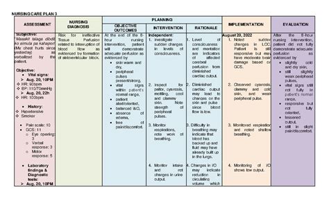 Myocardial-Infarction Ineffective Tissue Perfusion NCP - NURSING CARE PLAN 3 ASSESSMENT NURSING ...