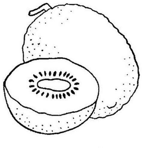 Fruit black and white kiwi fruit clipart black and white clipartfest - WikiClipArt