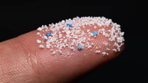 Help for a world drowning in microplastics | Science News for Students