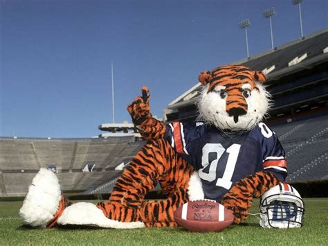 Best 109 College Football Mascots images on Pinterest | Sports