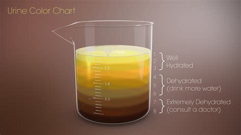 Color Of The Urine Chart