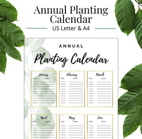 Annual Planting Calendar Printable Garden Planting Calendar - Etsy ...