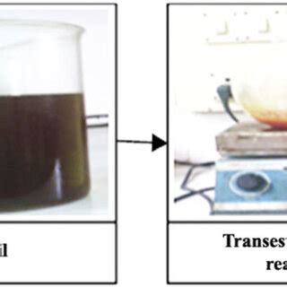 Step of biodiesel production process. | Download Scientific Diagram