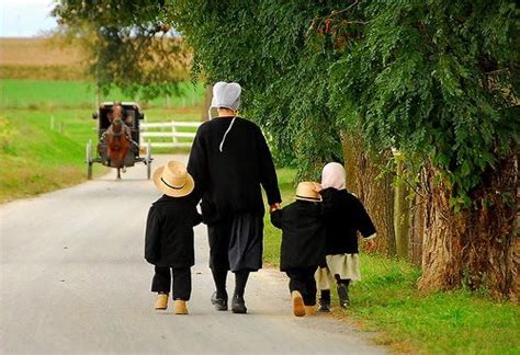 Old Order Amish~ Sarah's Country Kitchen ~ | Amish culture, Amish ...