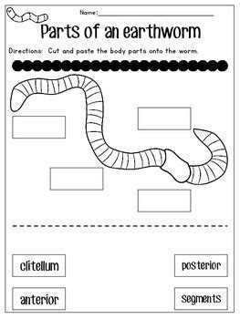 Wormy Worm-Earthworm Unit and Craft | Earthworms, Worms preschool, Worms