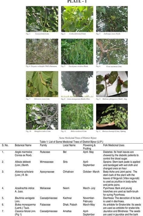 Table 1 from SOME IMPORTANT MEDICINAL TREES OF DISTRICT BIJNOR | Semantic Scholar