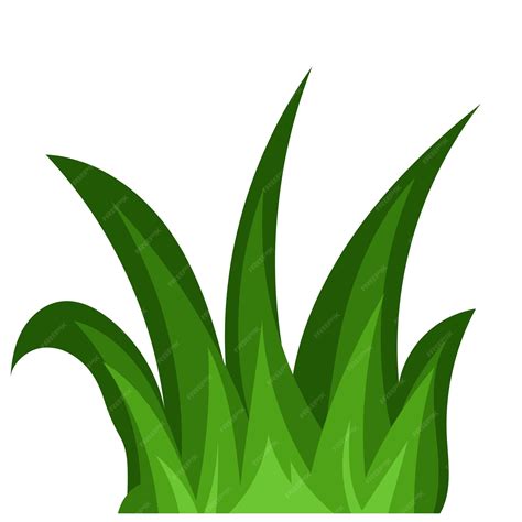 Premium Vector | Grass vector png