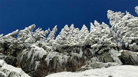 Photos of Snow Lake Trail - Washington | AllTrails