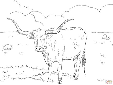 longhorn cow drawings - Google Search | Cow coloring pages, Flag coloring pages, Animal coloring ...