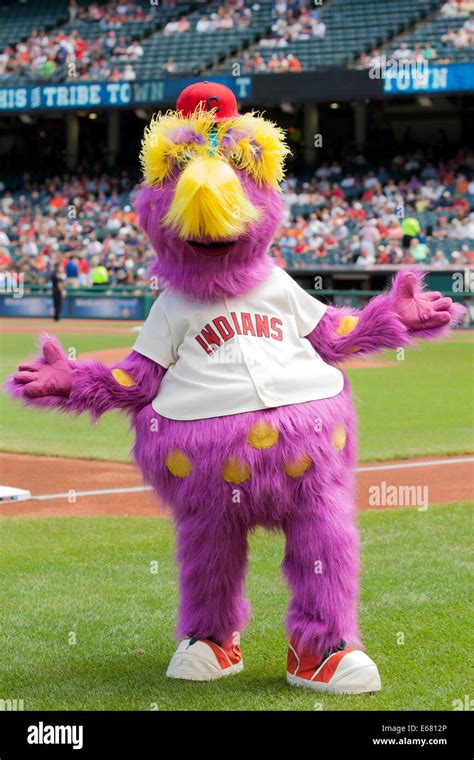 Cleveland, OH, USA. 17th Aug, 2014. August 17, 2014: Cleveland Indians mascot Slider on the ...