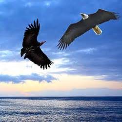 Eagle and the Condor Ceremony attracts hundreds in St. Paul - The Edge Magazine