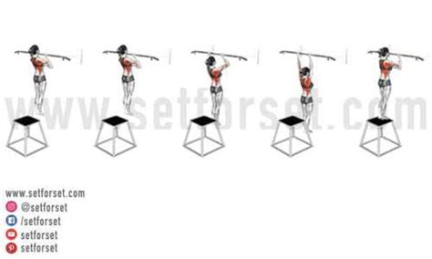 19 Pull Up Variations From Beginner to Advanced | MuscleChemistry