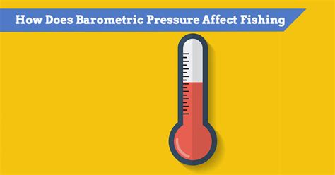 How Does Barometric Pressure Affect Fishing? (Low vs High Pressure)