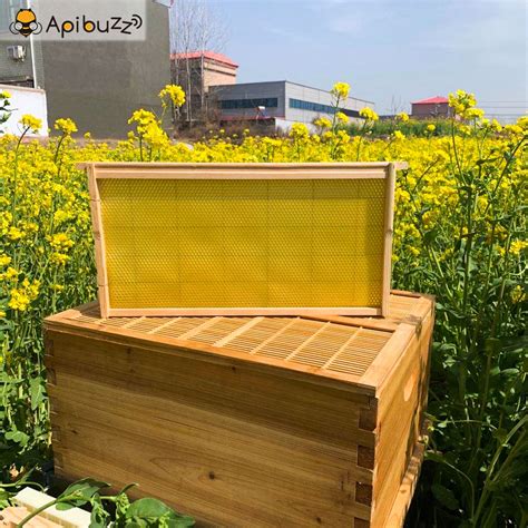 wood-bee-hive-deep-frames-beeswax-foundation-apiculture-beekeeping ...