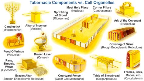 Ark of the Covenant