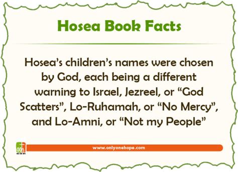 Facts About The Book Of Hosea | Only One Hope