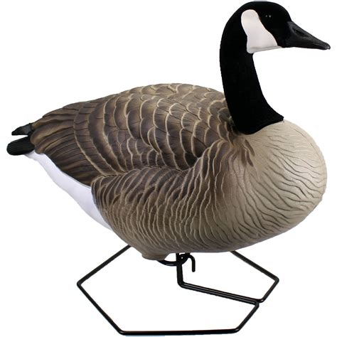 New Full Body Goose Decoys - Explore Beavertail