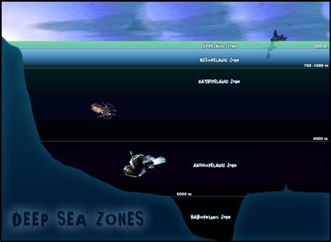 How Deep Is The Ocean Floor In Meters | Viewfloor.co