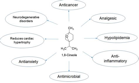 Therapeutic applications of 1,8-Cineole 9. Anxiety: 1, 8-Cineole acts ...