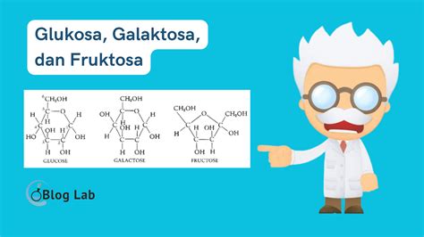 Penjelasan dan struktur kimia dari Glukosa, Galaktosa, dan Fruktosa