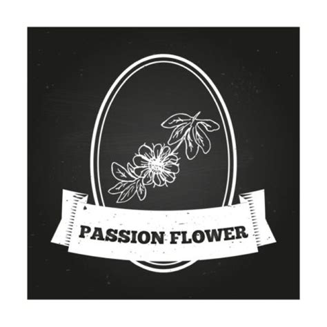 Harnessing Passion Flower: Its Benefits for Holistic Wellness