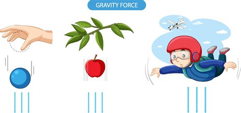 Gravity force experiment example 7100779 Vector Art at Vecteezy