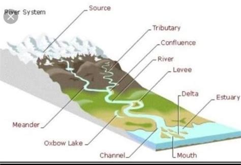 Diagram on Formation Of Delta - Brainly.in