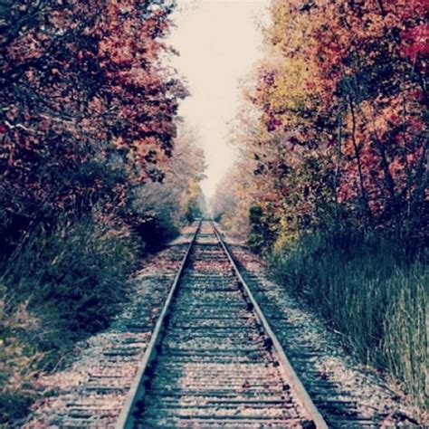 Autumn Train tracks | Train tracks, Railroad tracks, Nature