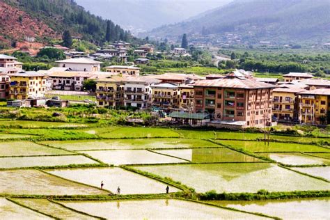 View of Paro Valley with Green Rice Field, Paro, Bhutan Stock Photo ...