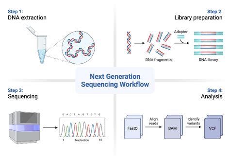 Next Generation Sequencing Workflow | BioRender Science Templates