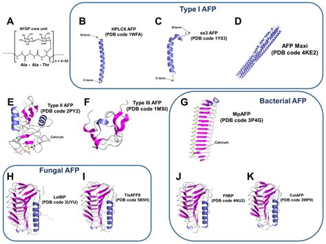 Marine Drugs | Free Full-Text | Marine Antifreeze Proteins: Structure, Function, and Application ...