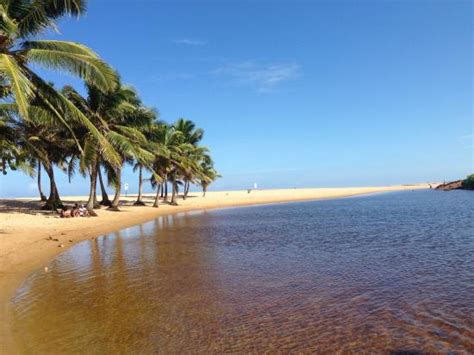 Imbassai Beach (Praia do Forte) - 2020 All You Need to Know BEFORE You Go (with Photos ...