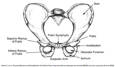 Pubic Symphysis Dysfunction - Physiopedia