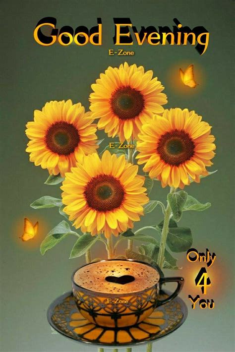 Pin on good evening | Good evening greetings, Good morning animation, Evening greetings