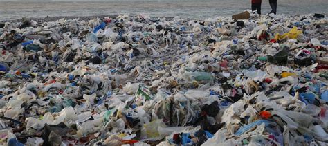10 Frightening Facts About Plastic Pollution We All Need To Know
