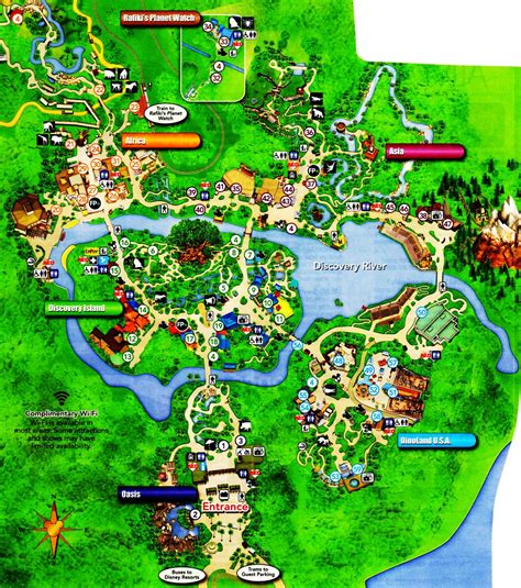 Animal kingdom map