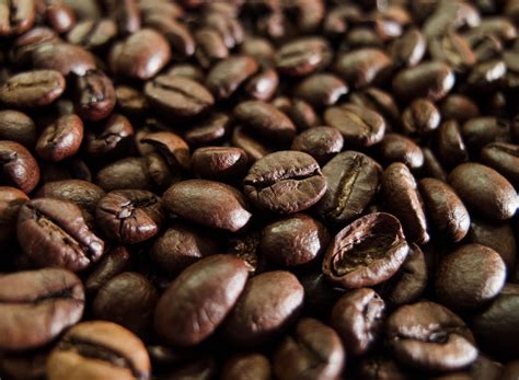 Coffee Beans - Free Stock Photos ::: LibreShot