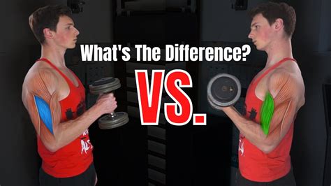 Dumbbell Bicep Curl VS. Hammer Curl (WHICH ONE FOR BIGGER BICEPS ...