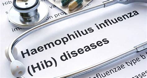 Haemophilus influenzae: All You Need to Know