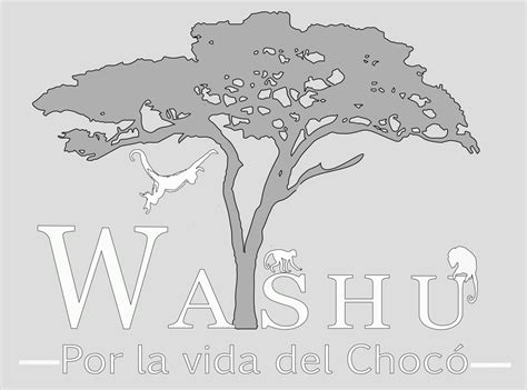 WASHU