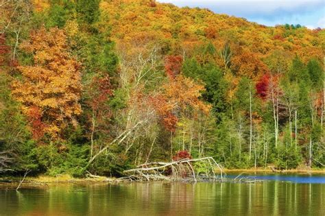 Autumn Colors Along the Shore of Bays Mountain Lake Stock Photo - Image of mountain, beauty ...