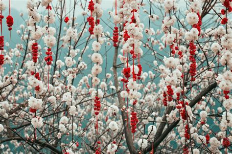 Premium Photo | Martisor symbols adorning nature with the beauty of spring blooms