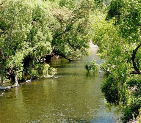 Santa Ana River Trail and Parkway » The Wildlands Conservancy