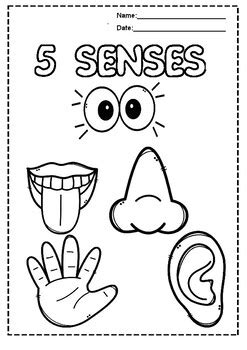 Printable Five Senses Coloring Book for Kids, 5 Senses Coloring Pages, PDF