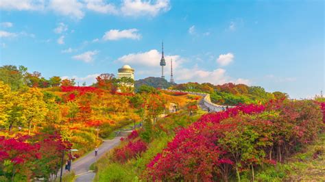 NAMSAN-TOWER Footage, Videos and Clips in HD and 4K - Avopix.com