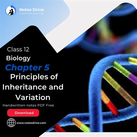 Class 12 Biology Chapter 5 Principles of Inheritance and Variation handwritten notes pdf ...
