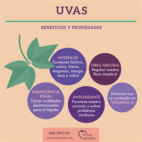 Uva propiedades beneficios para la salud – Artofit