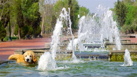 Chapultepec Park in Mexico City, | Expedia